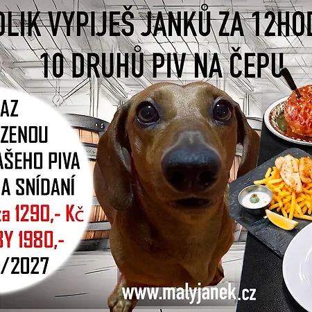 V Arealu Pivovaru Maly Janek S Vlastnim Stanem * Příbram